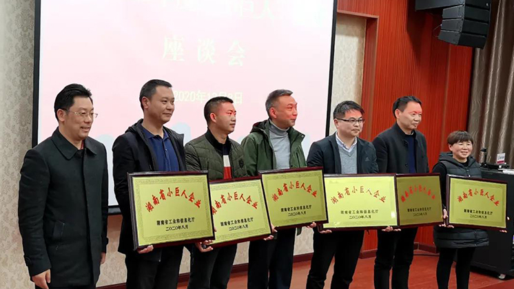 喜大普奔！炬神电子被评为湖南省“小巨人”企业